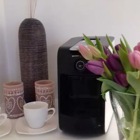 Διαμέρισμα Kapitan J.goyki Σόποτ