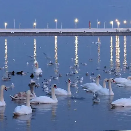 Διαμέρισμα Kapitan J.goyki