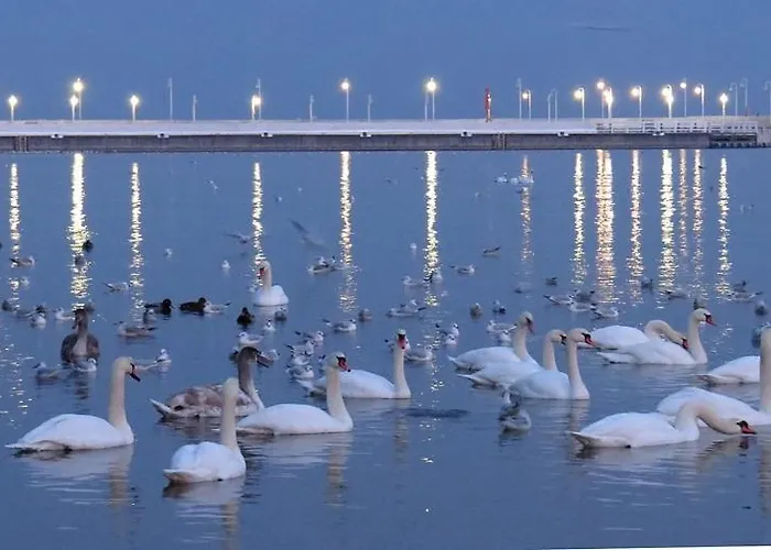 Appartamento Kapitan J.goyki